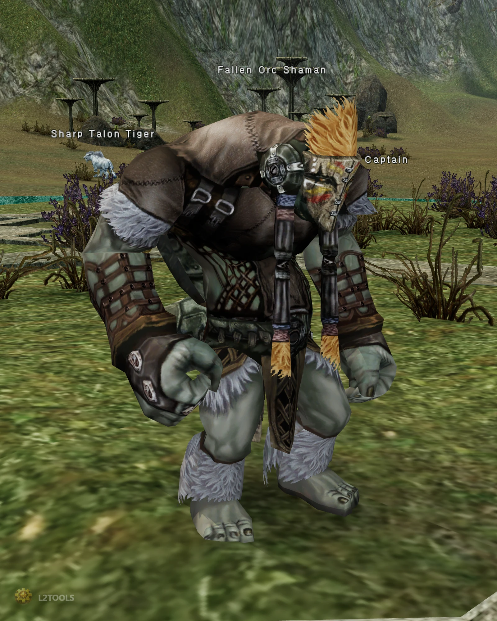 Fallen Orc Shaman portrait