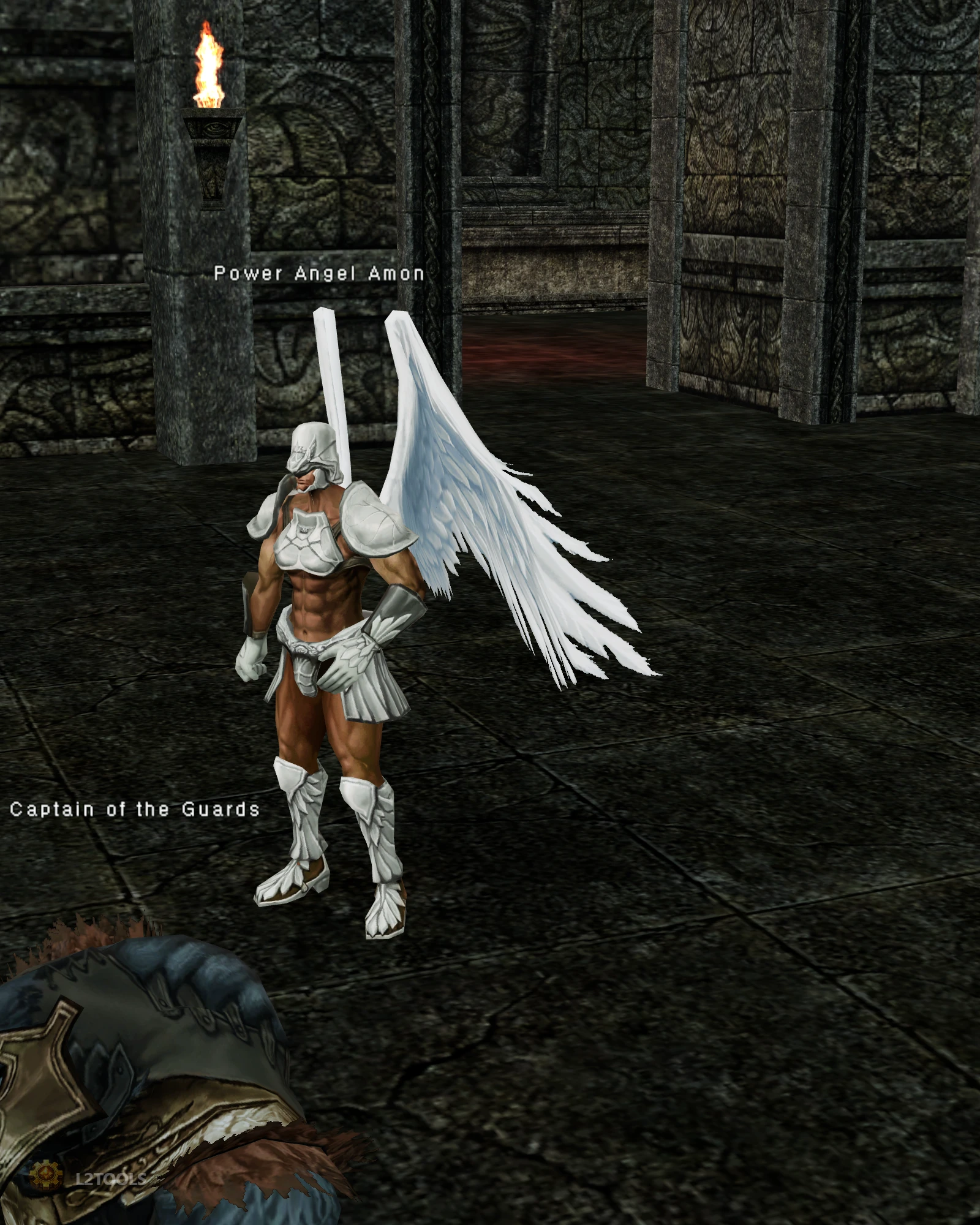 Power Angel Amon portrait