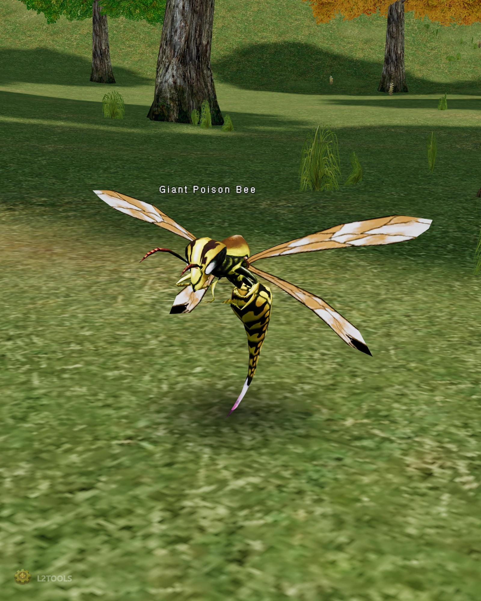 Giant Poison Bee portrait