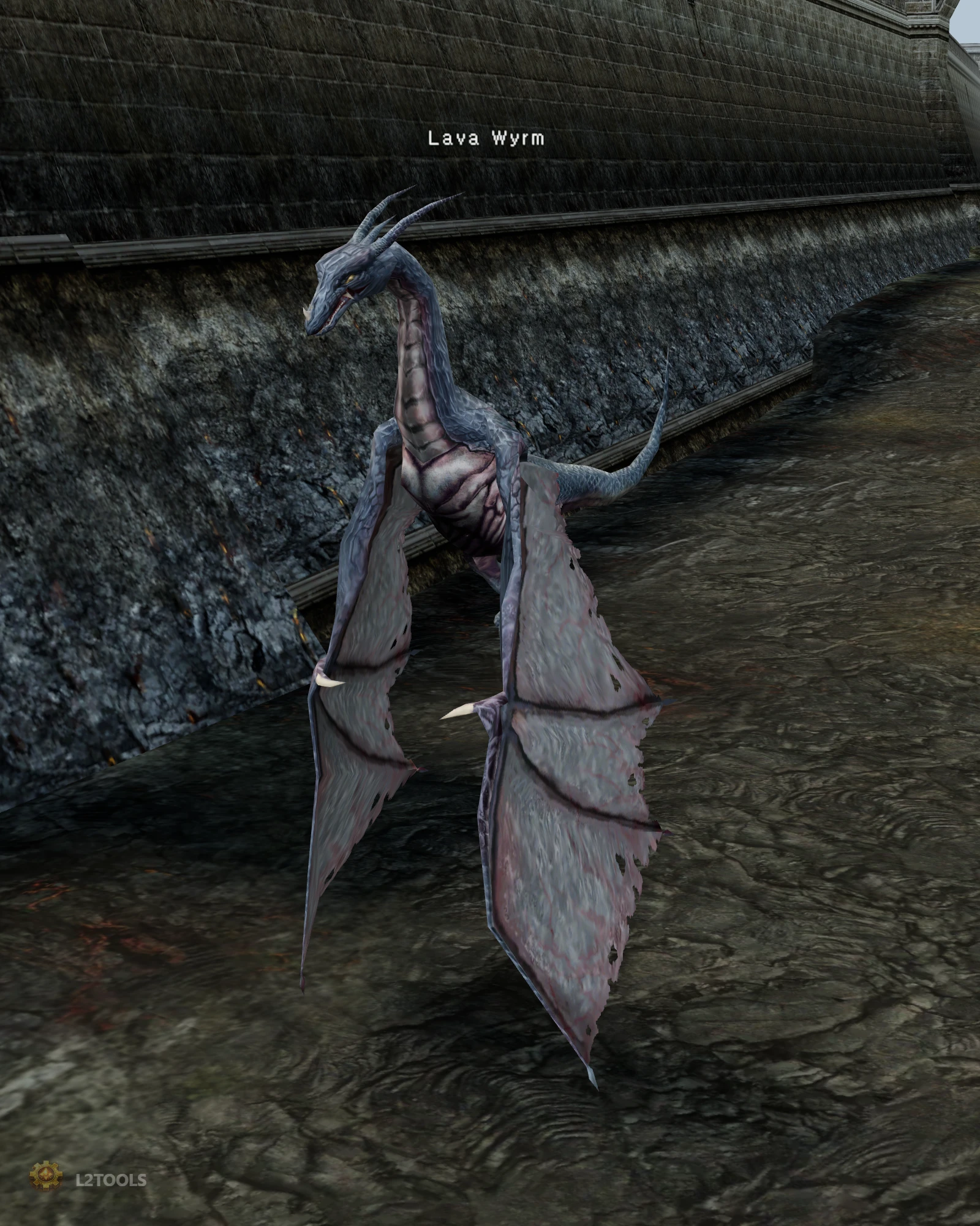 Lava Wyrm portrait