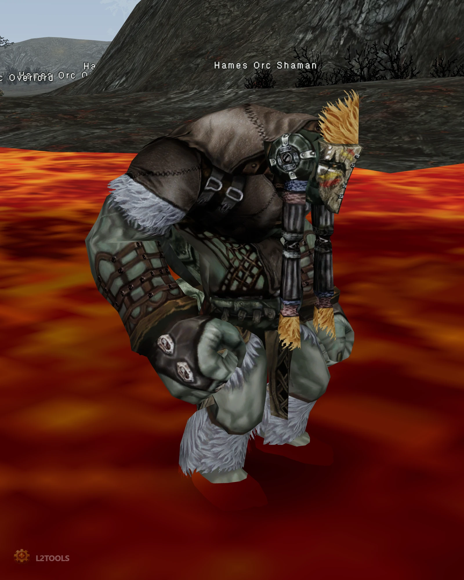Hames Orc Shaman portrait