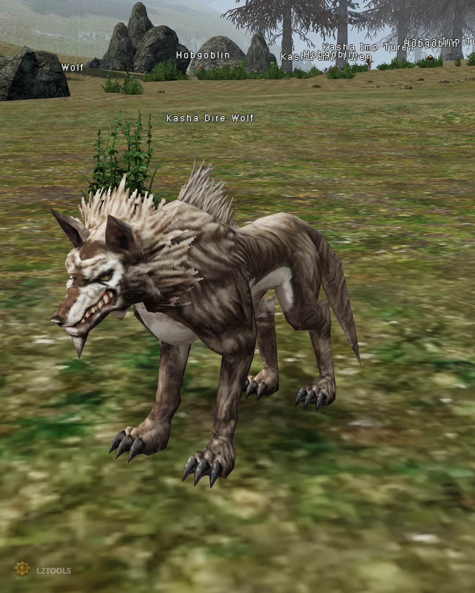 Kasha Dire Wolf portrait