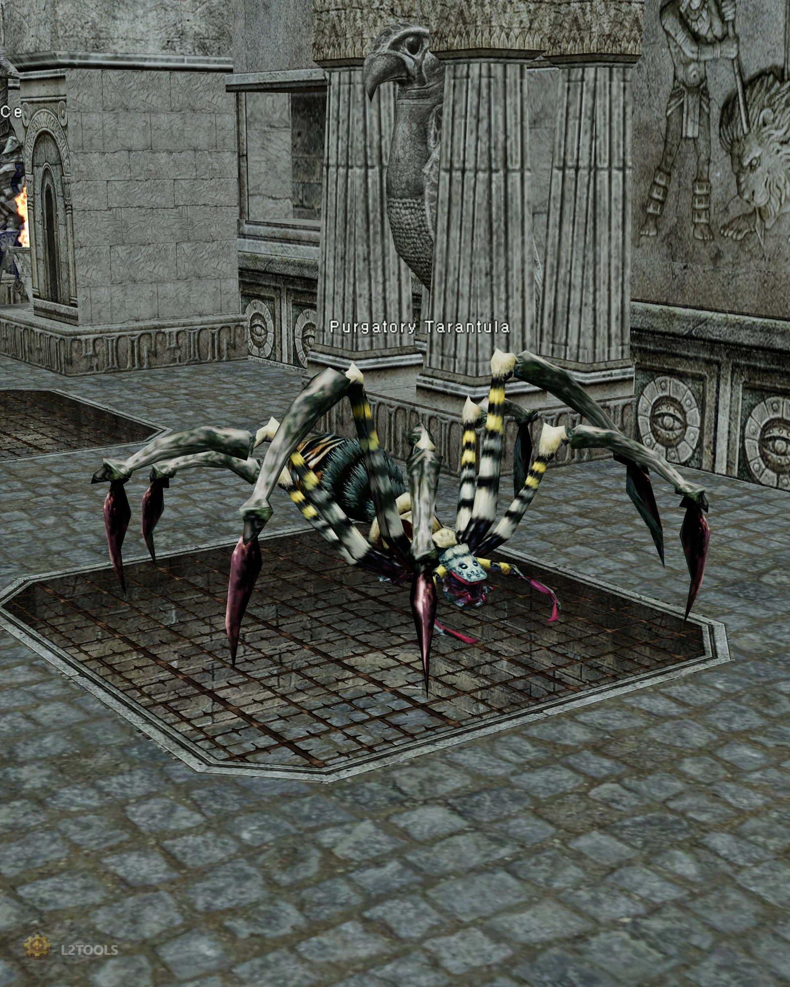 Purgatory Tarantula portrait