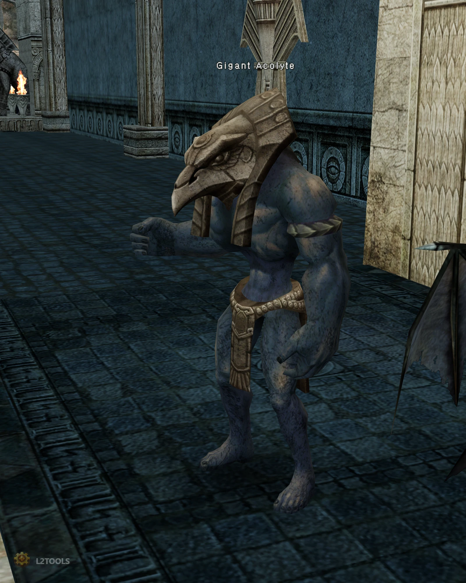 Gigant Acolyte portrait