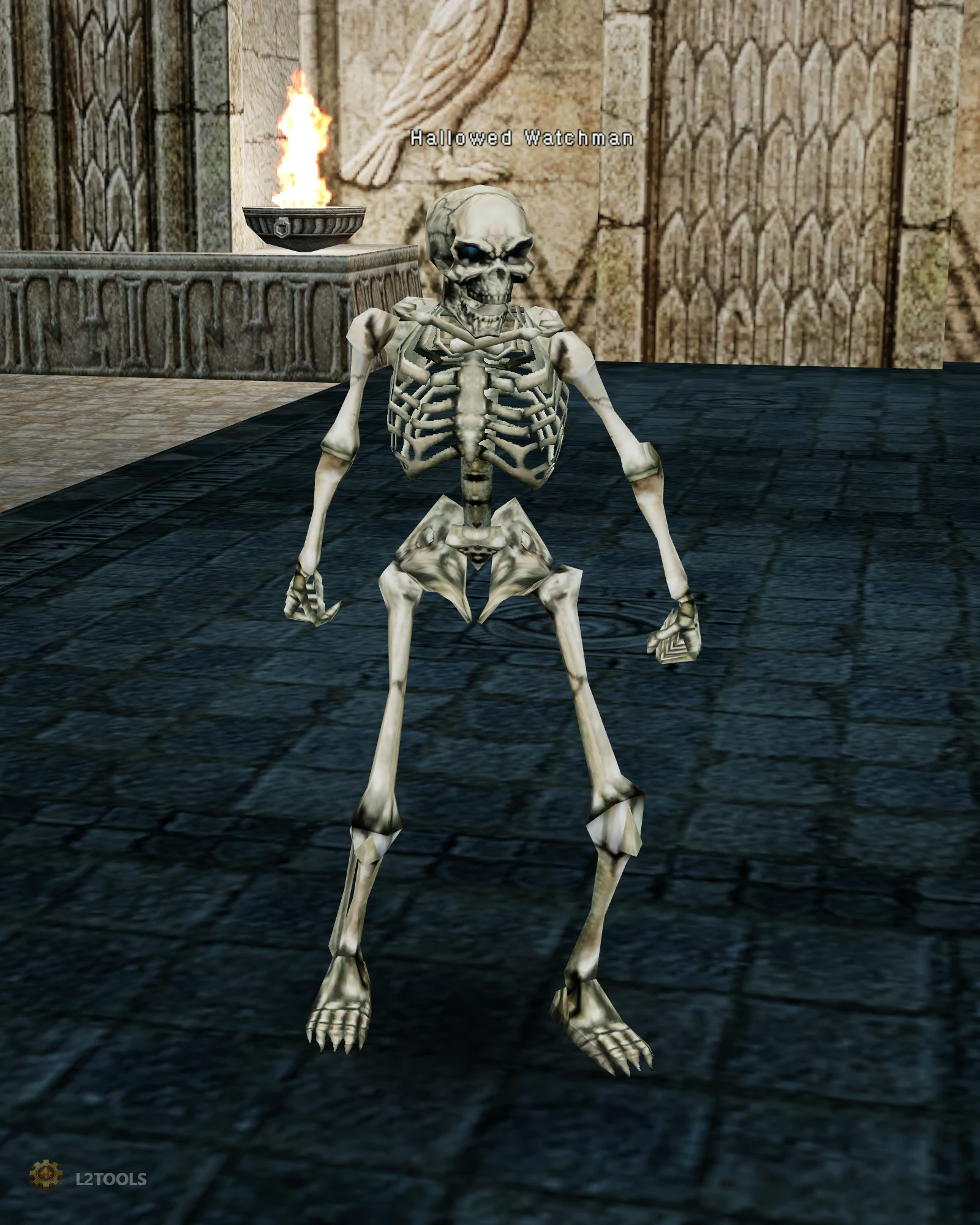 Hallowed Watchman portrait
