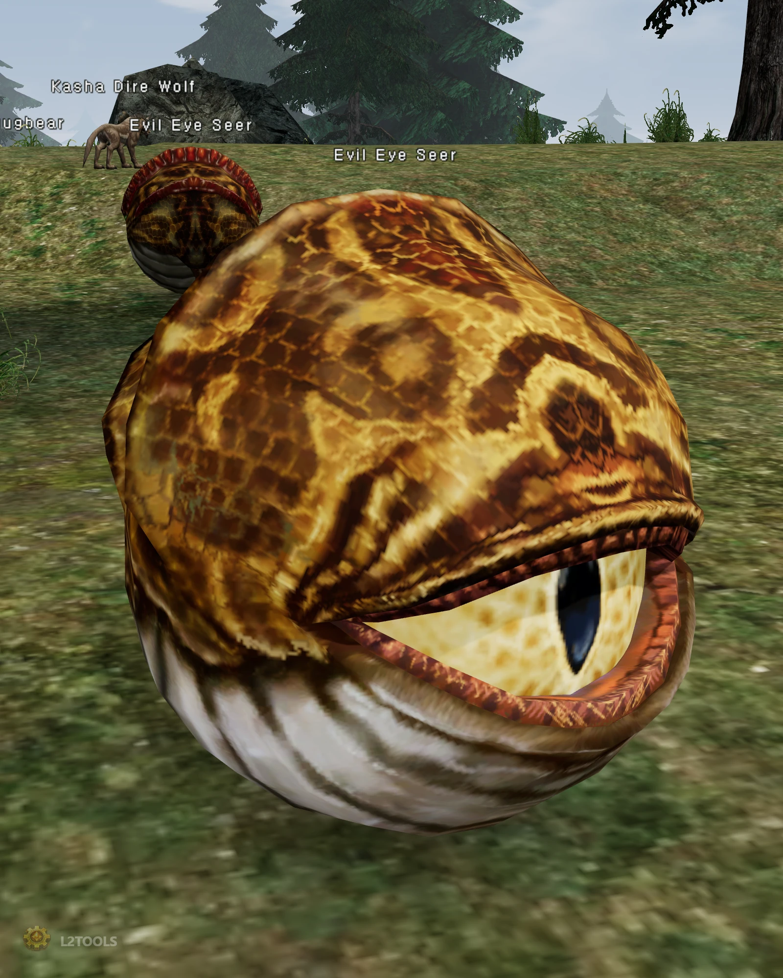 Evil Eye Seer portrait