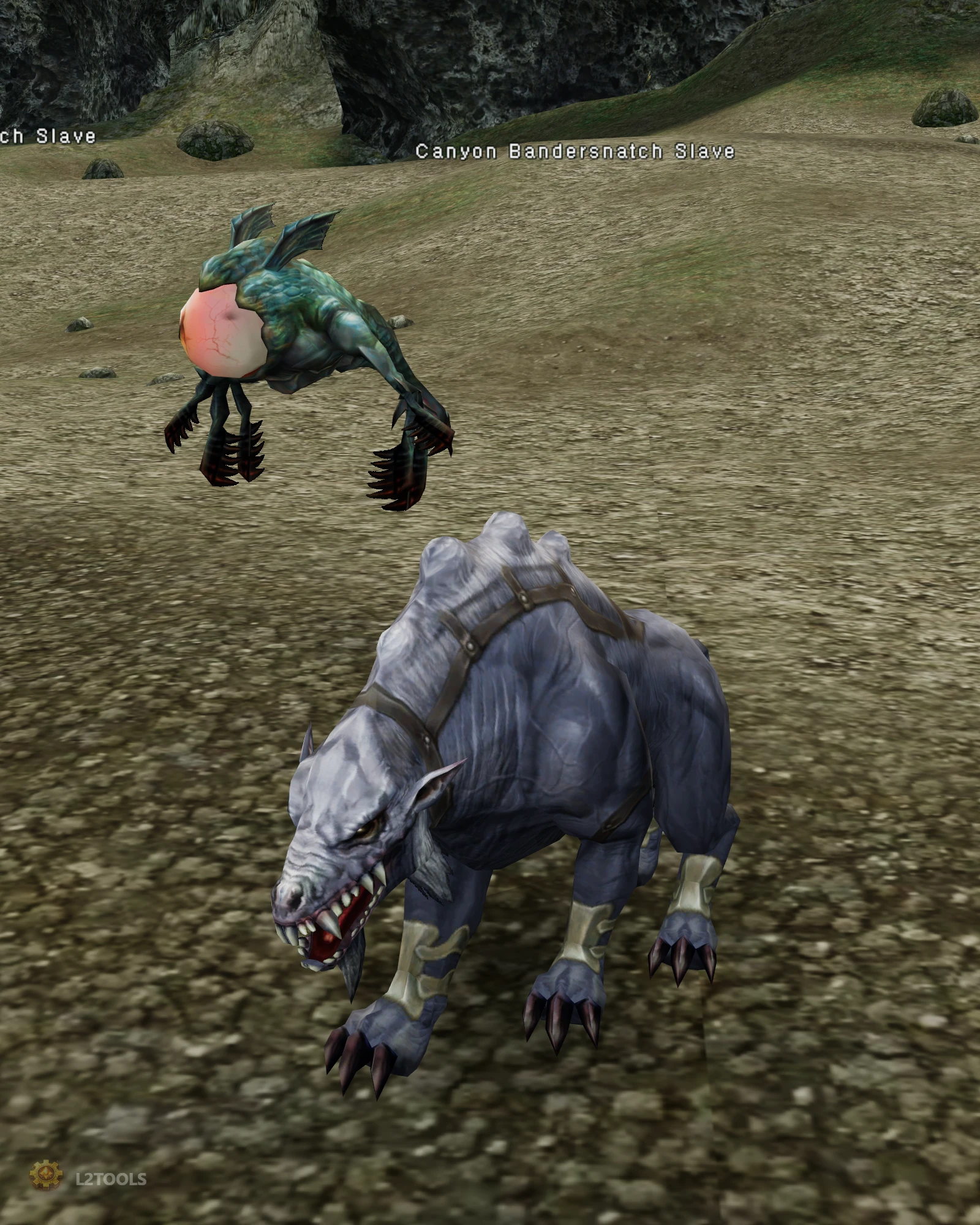Canyon Bandersnatch Slave portrait