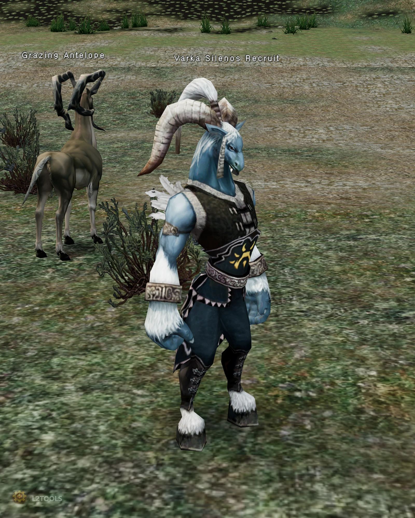 Varka Silenos Recruit portrait