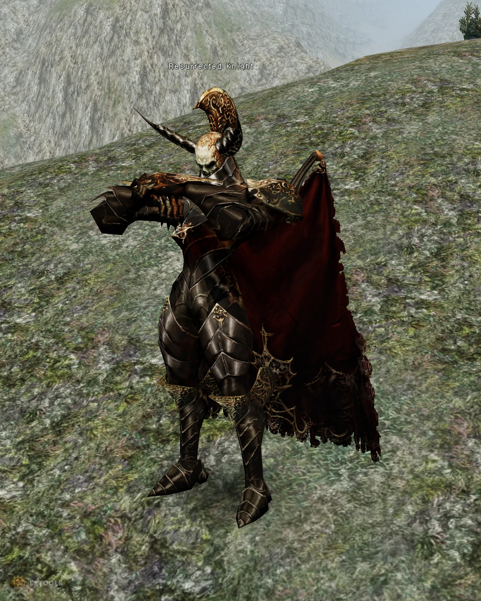 Resurrected Knight portrait