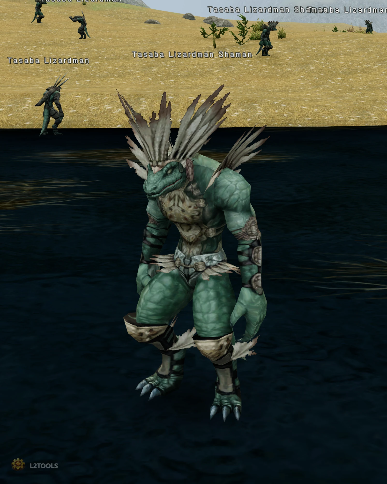 Tasaba Lizardman Shaman portrait