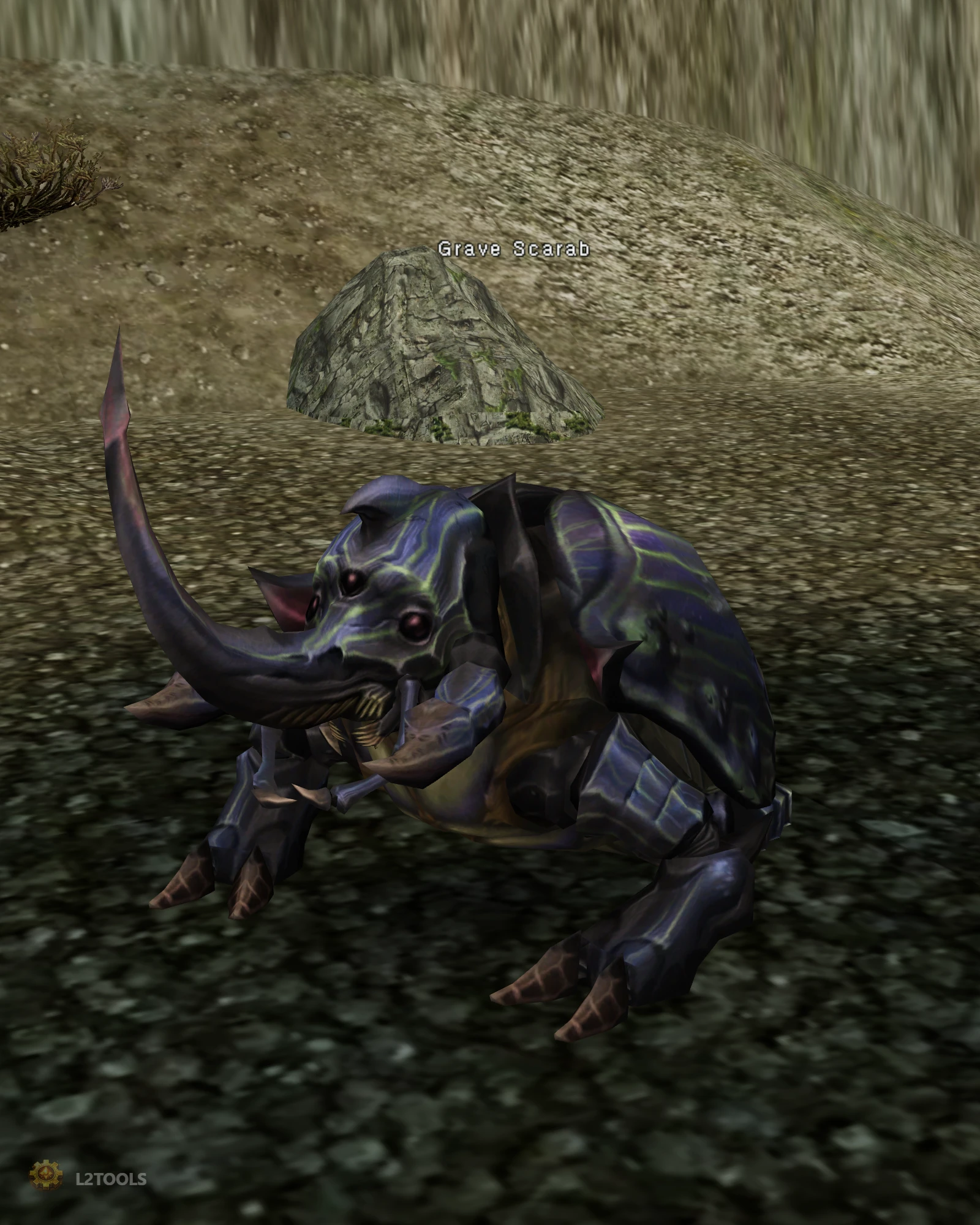 Grave Scarab portrait
