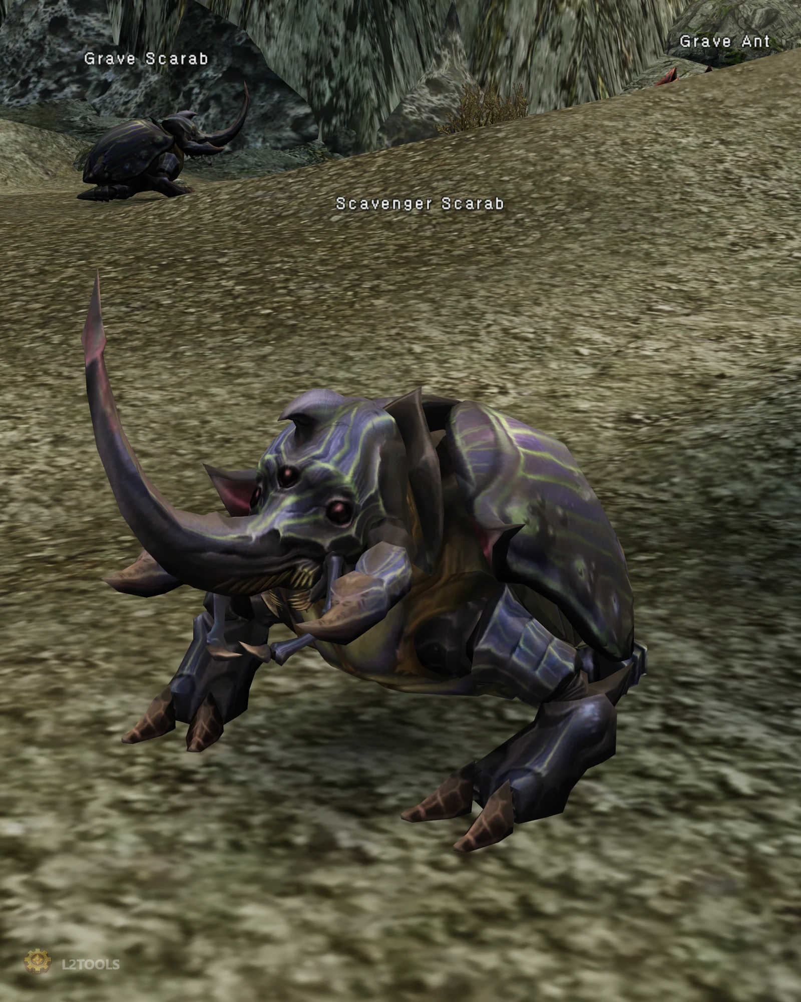 Scavenger Scarab portrait