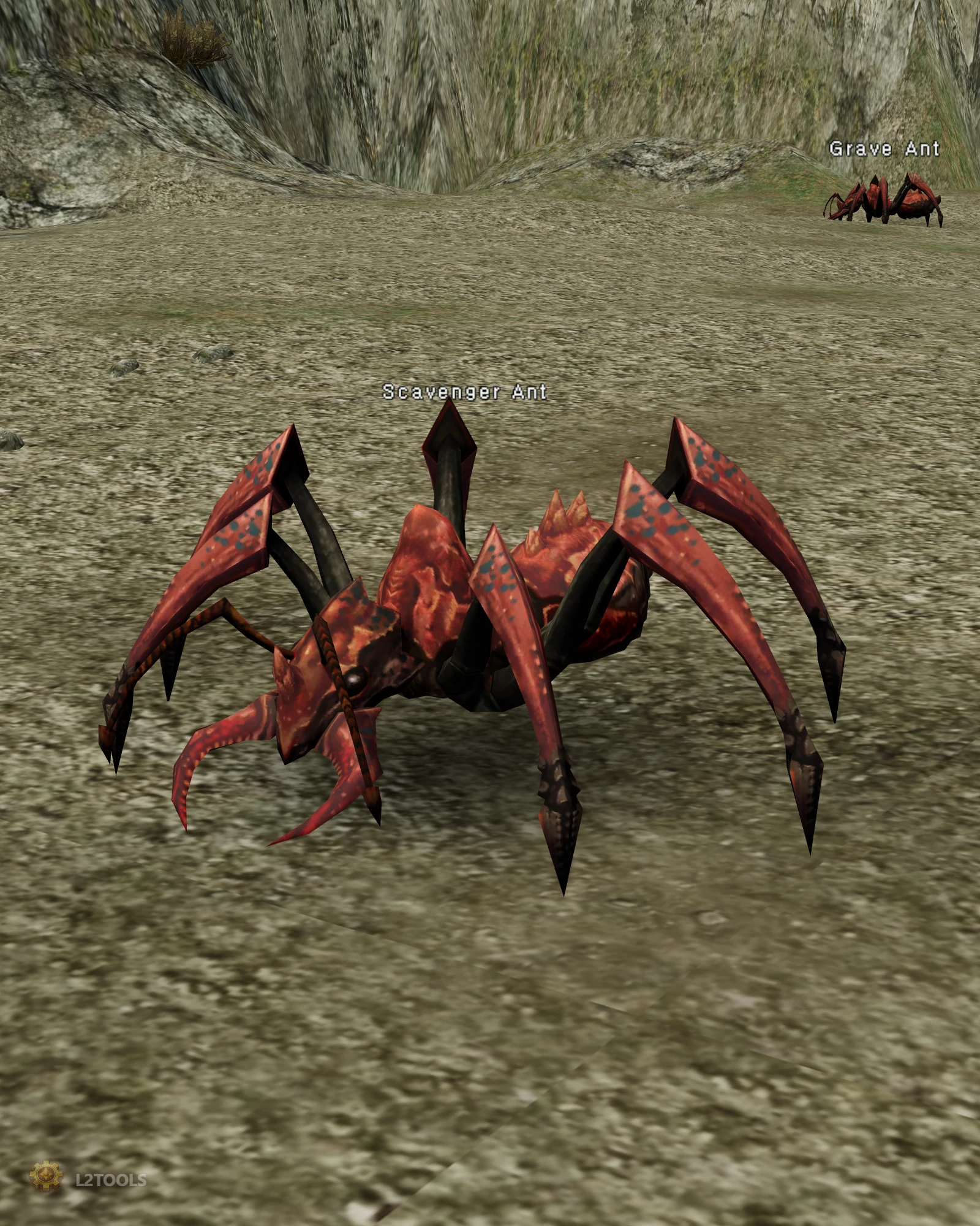 Scavenger Ant portrait
