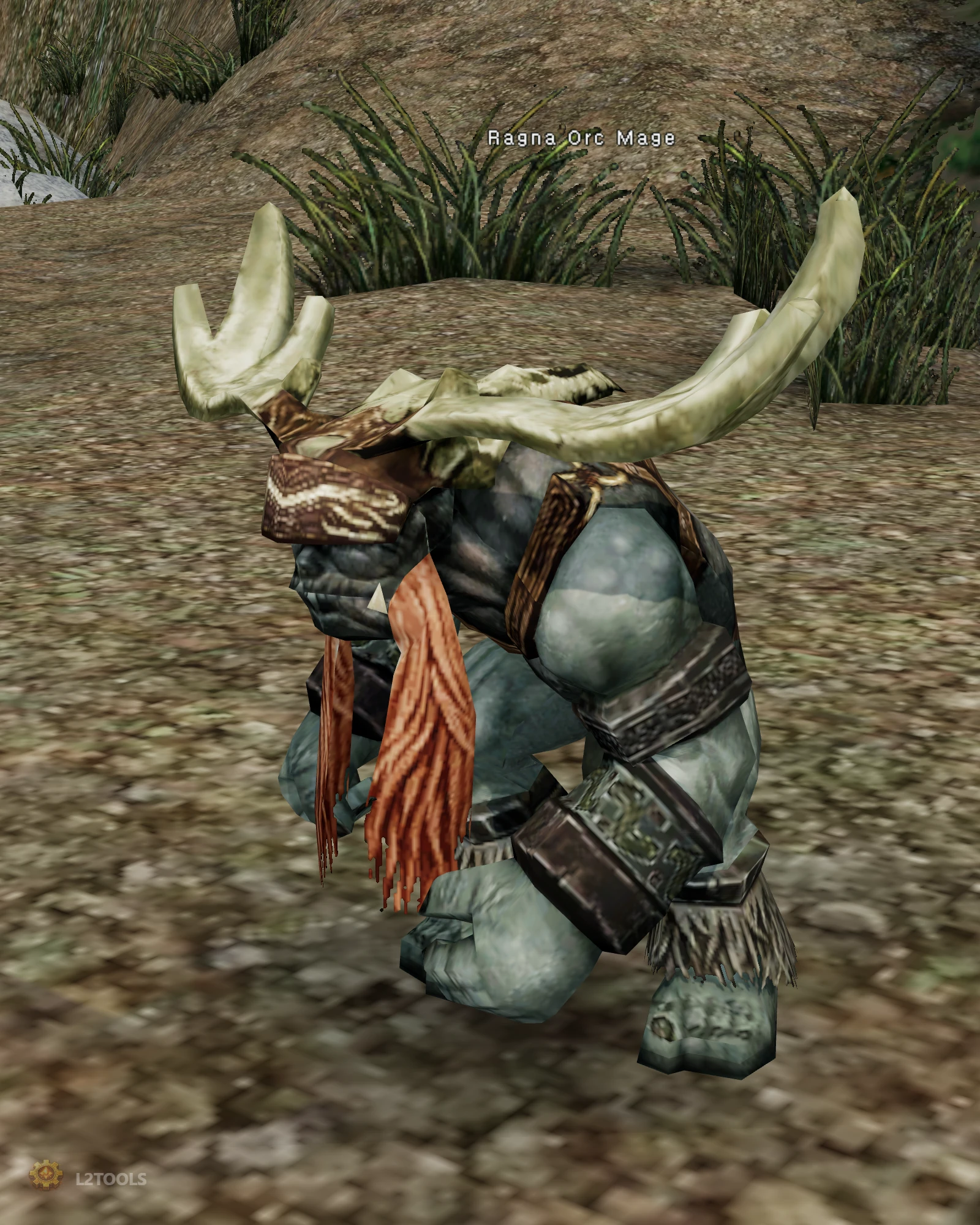 Ragna Orc Mage portrait