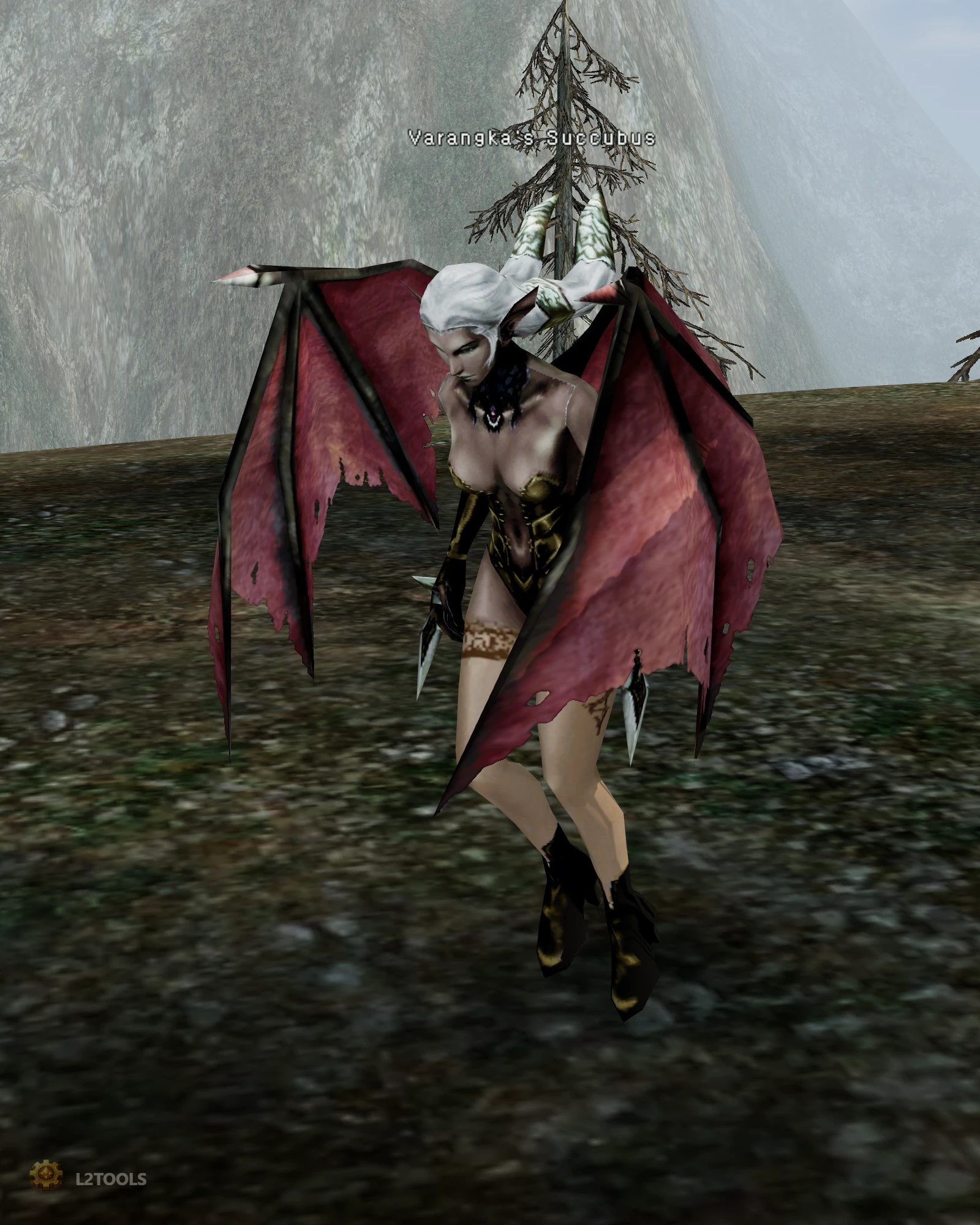 Varangka's Succubus portrait
