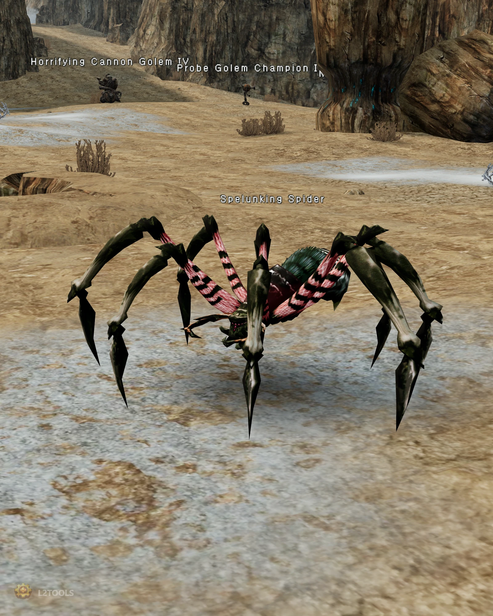 Spelunking Spider portrait