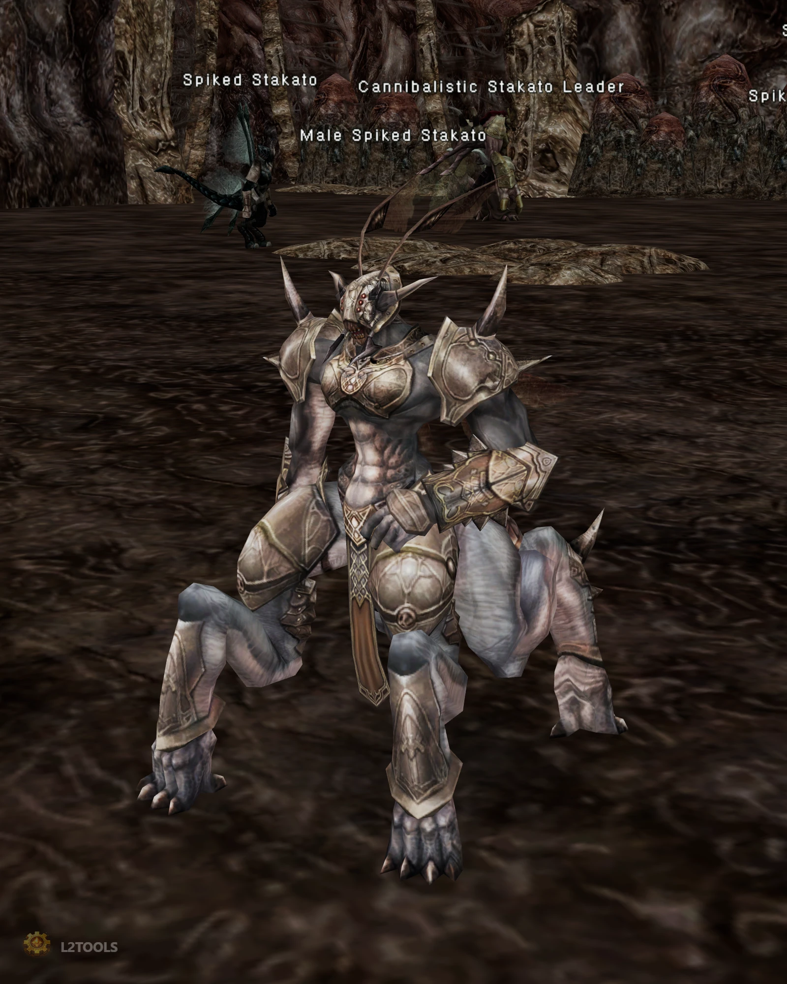 Male Spiked Stakato portrait