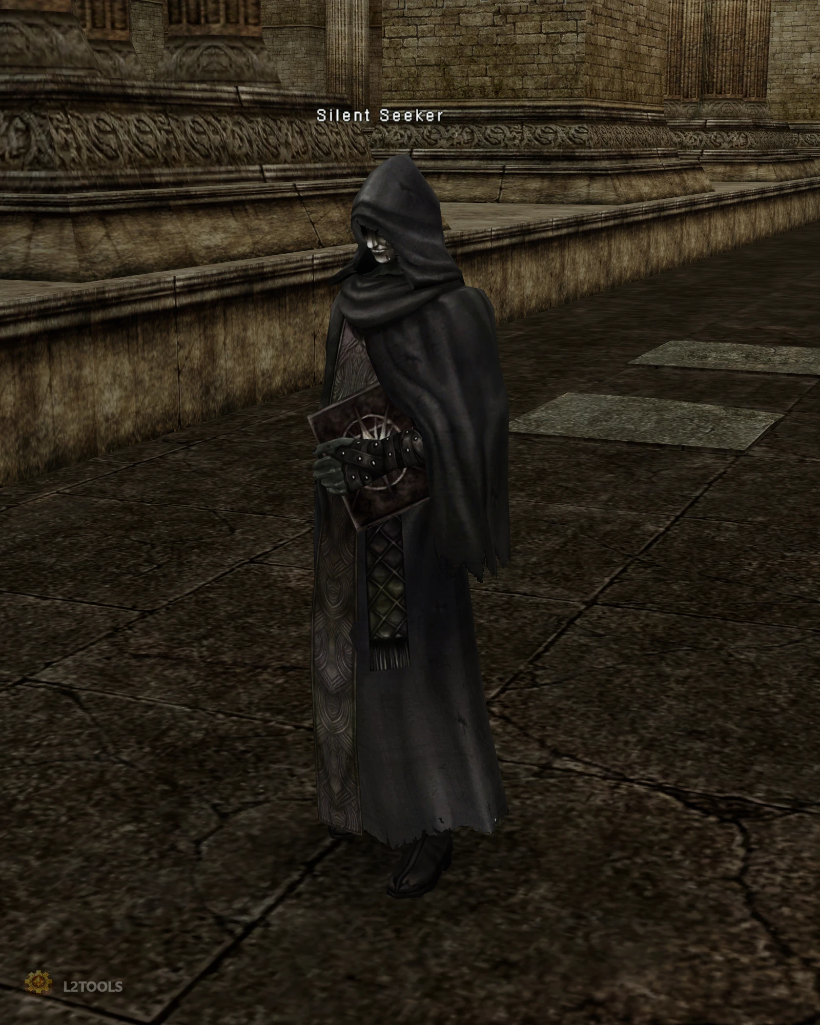 Silent Seeker portrait