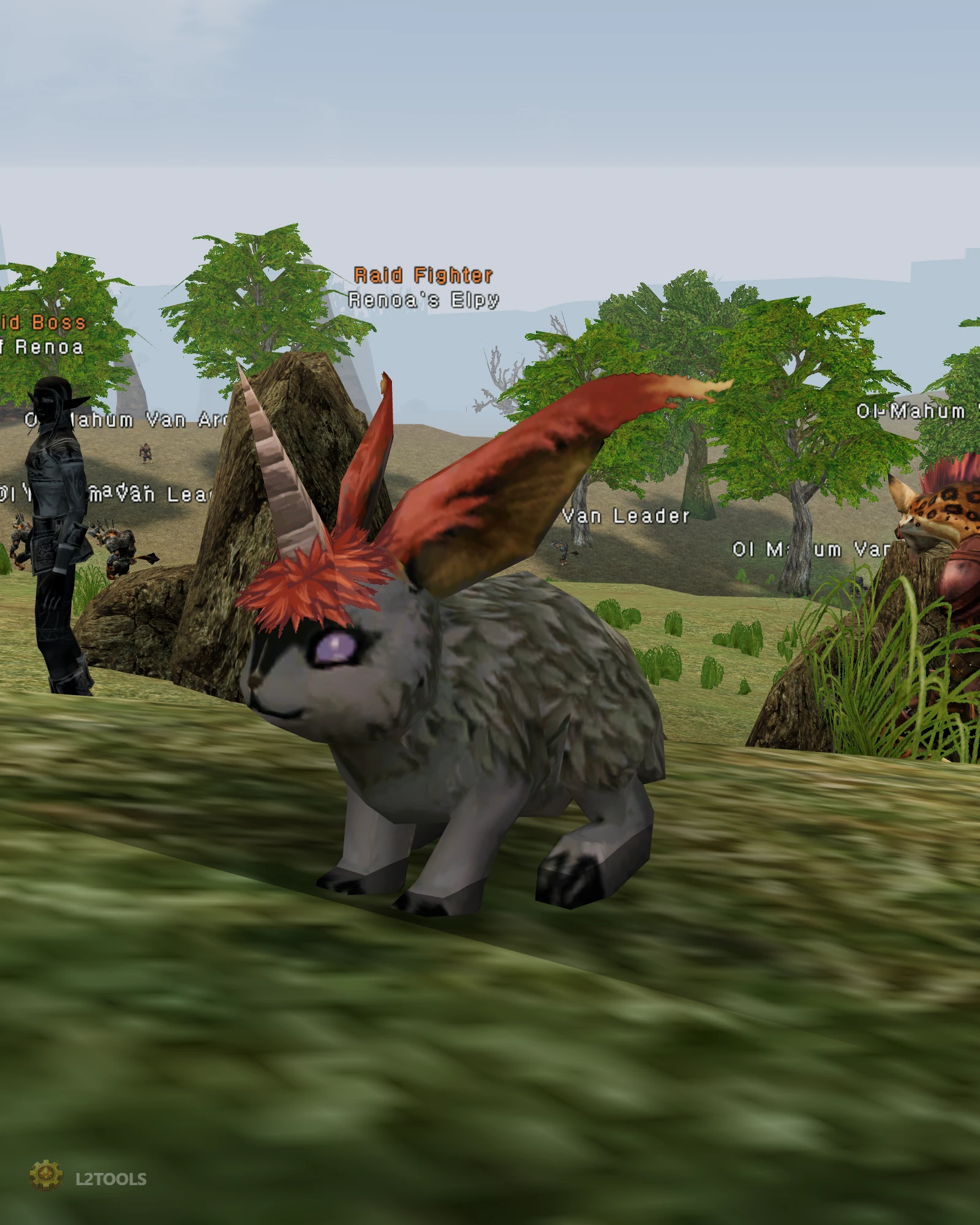 Renoa's Elpy portrait