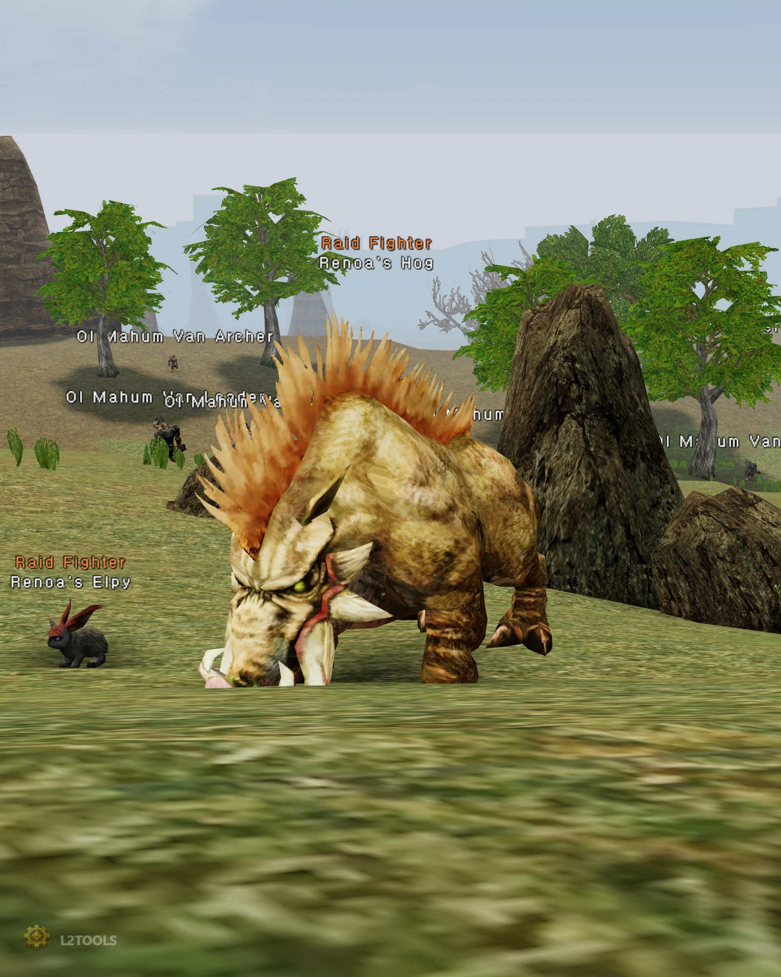 Renoa's Hog portrait