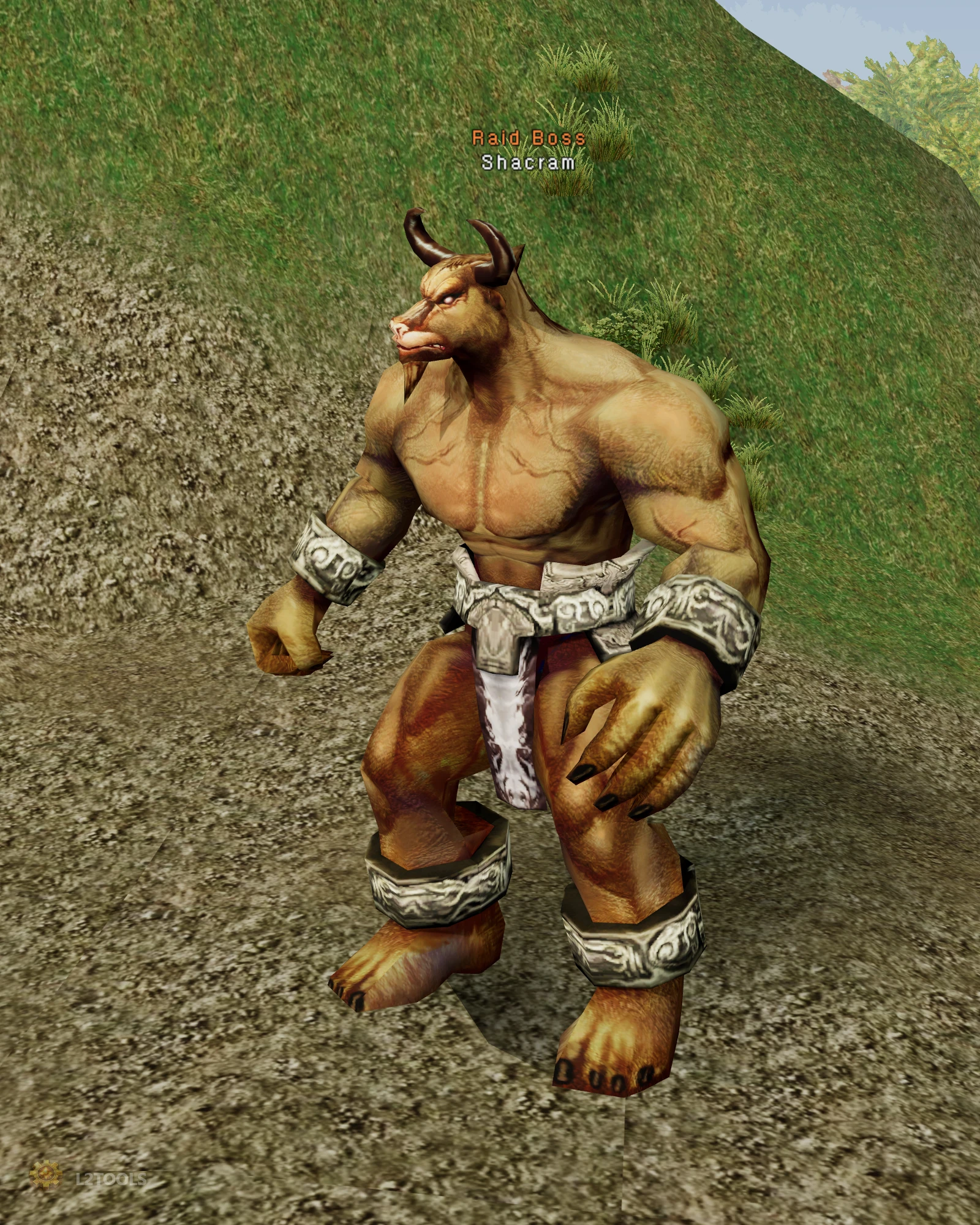 Shacram portrait