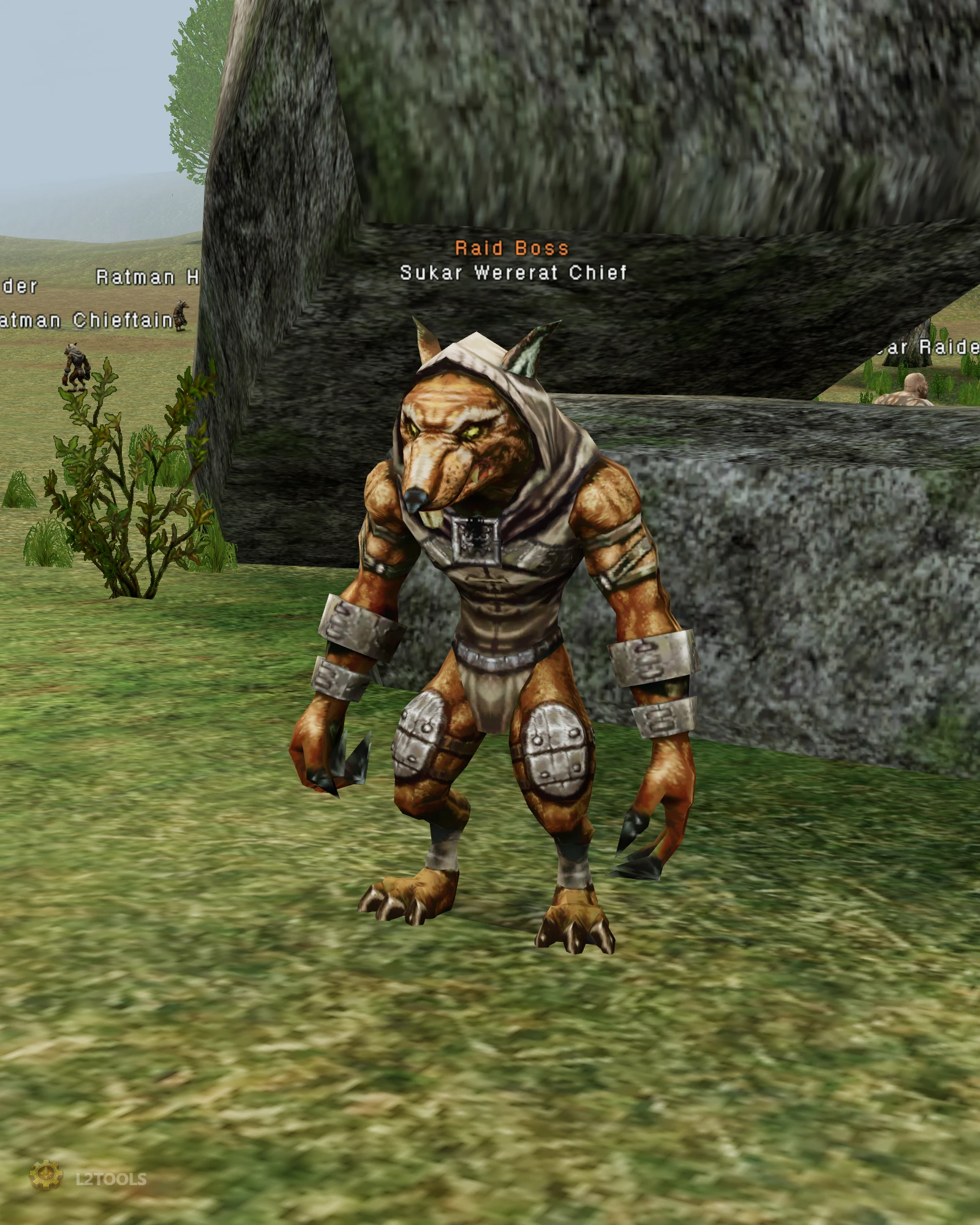 Sukar Wererat Chief portrait