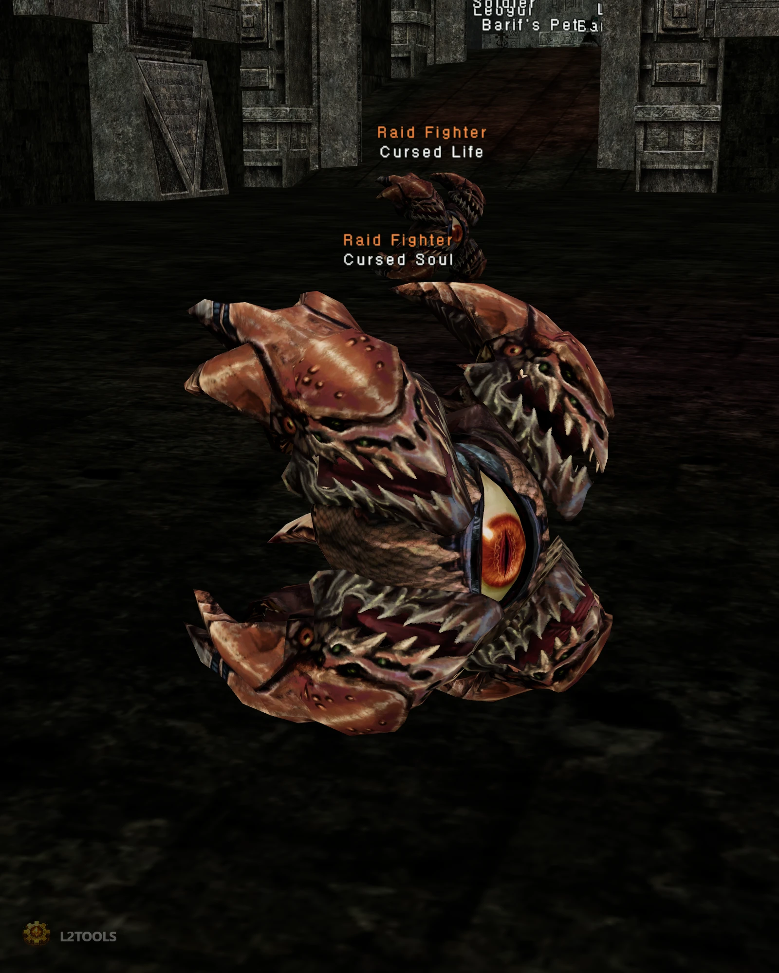 Cursed Soul portrait