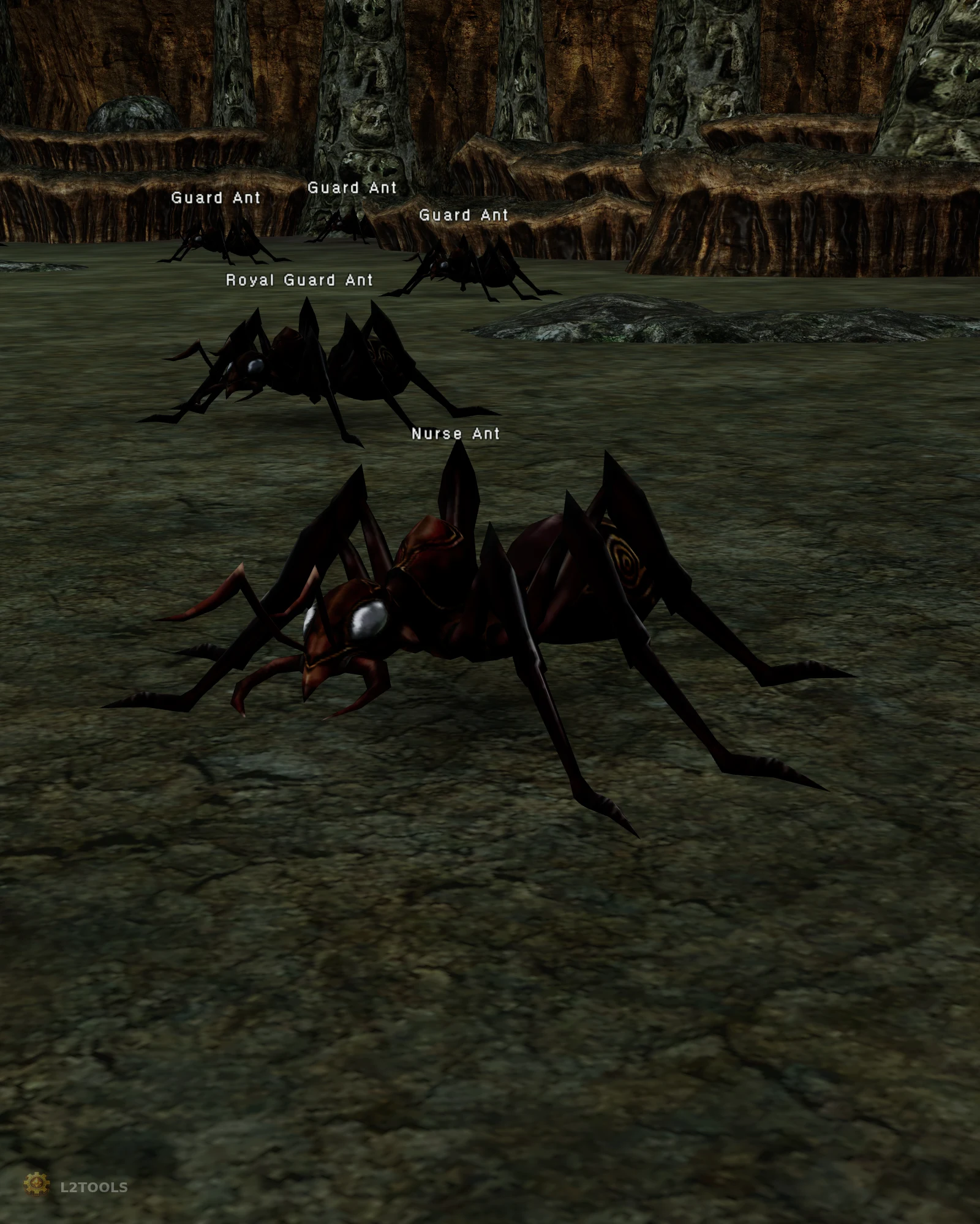 Nurse Ant portrait