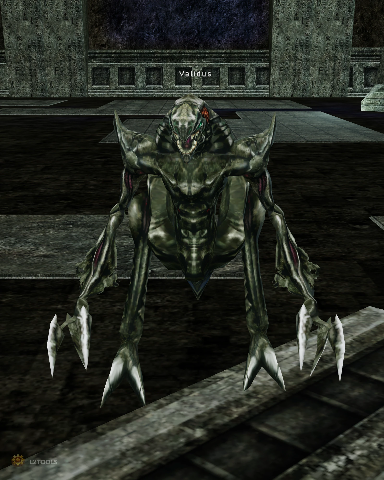 Validus portrait