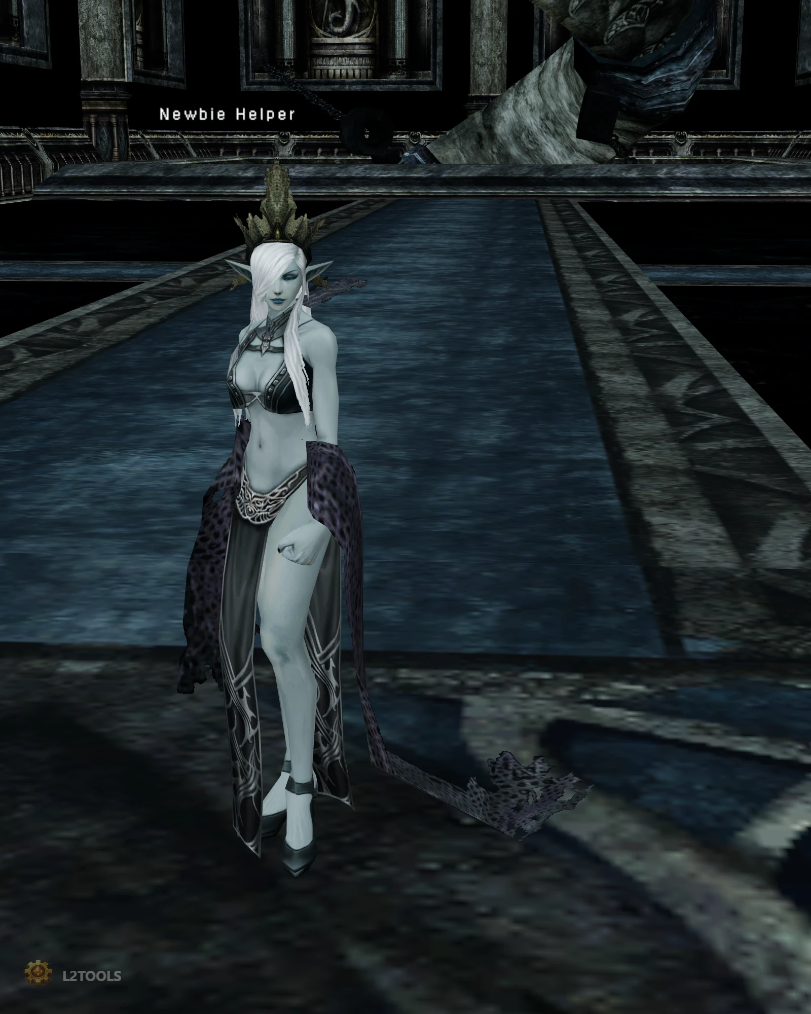 Newbie Helper portrait