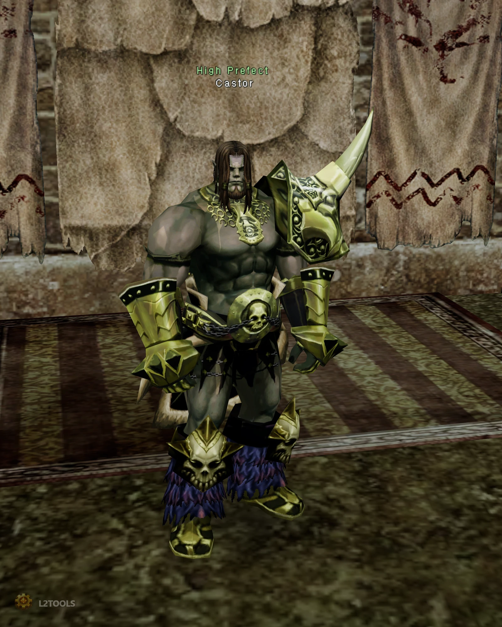 Castor portrait