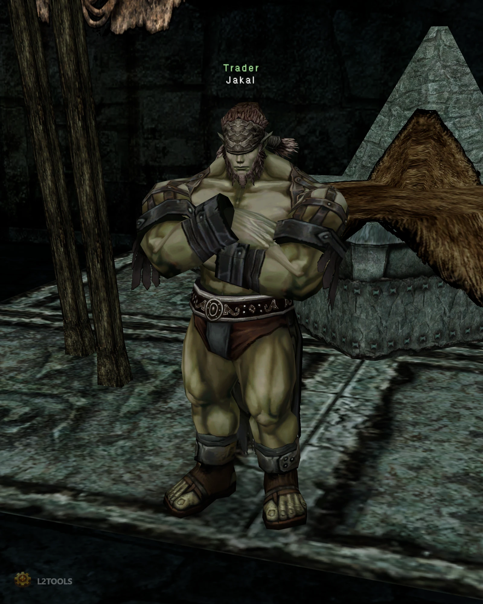 Jakal portrait