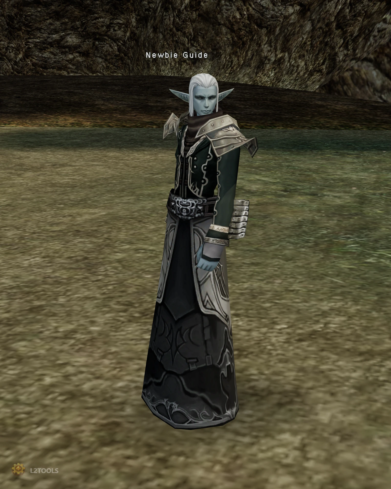 Newbie Guide portrait