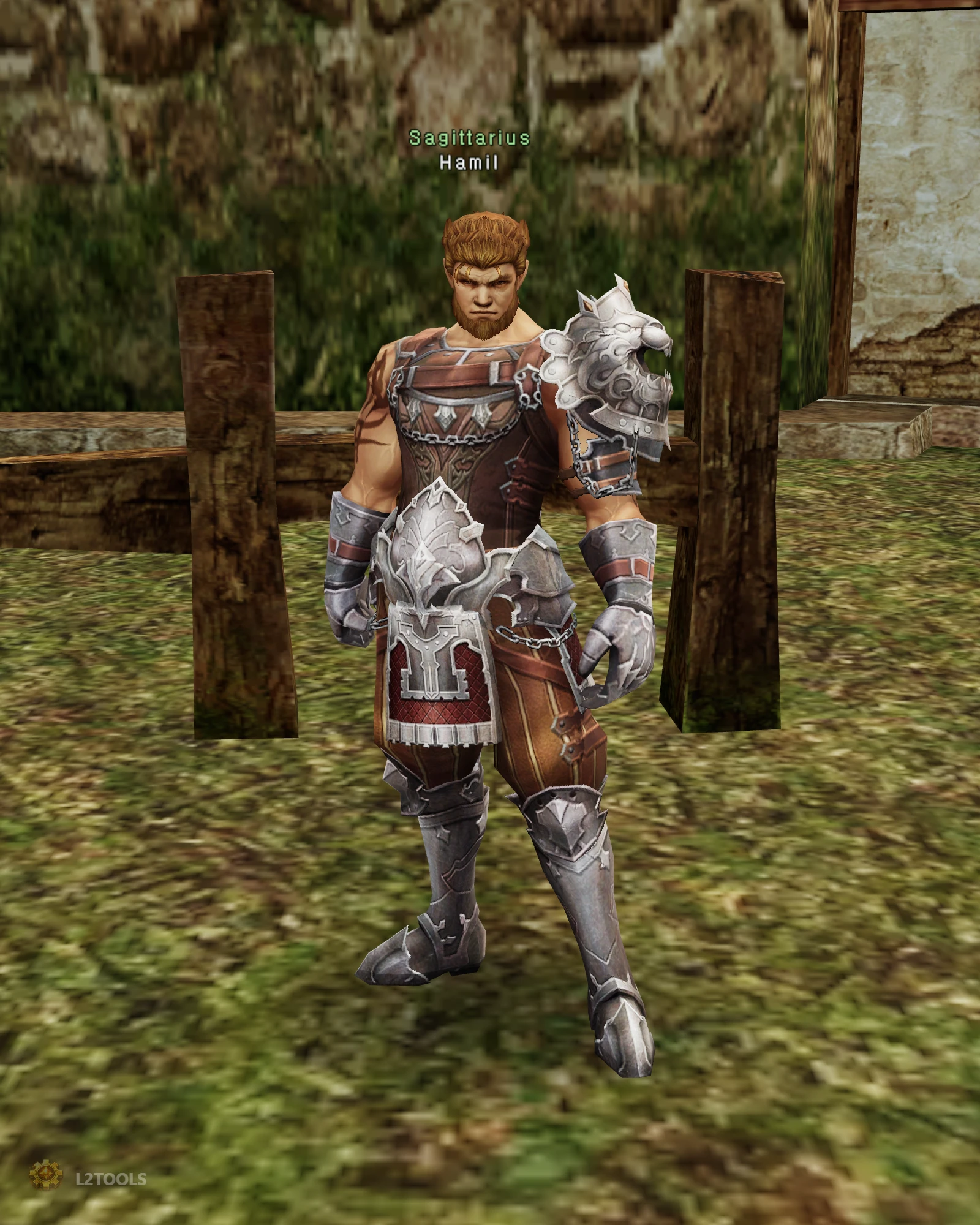 Hamil portrait