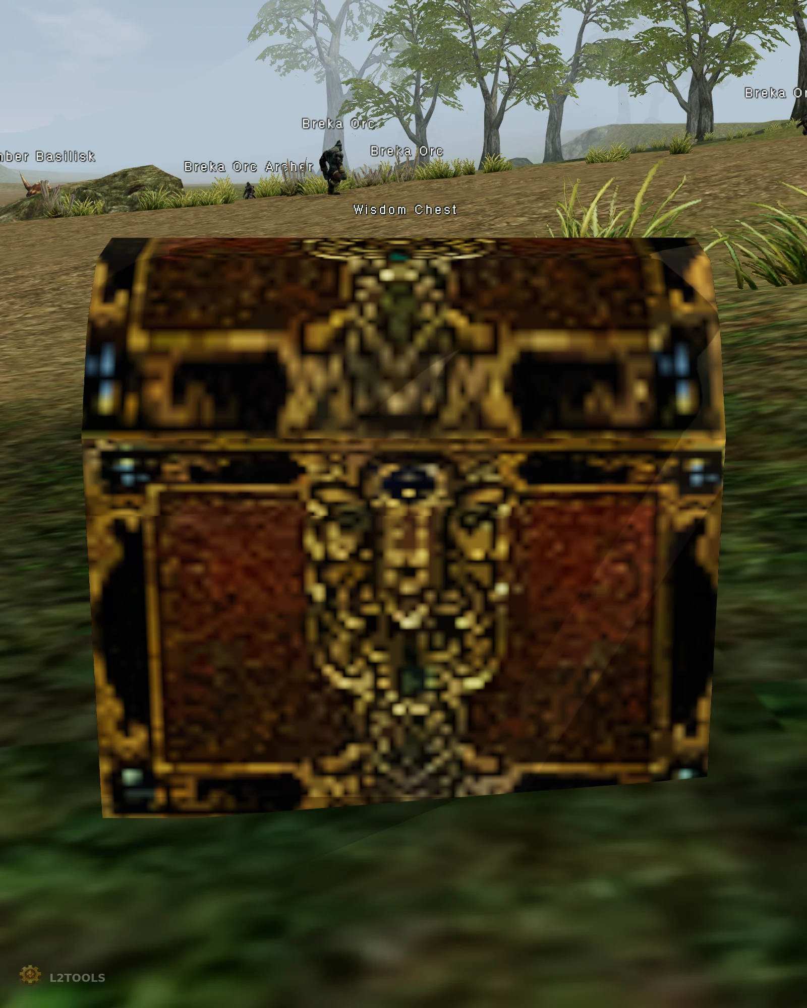 Wisdom Chest portrait