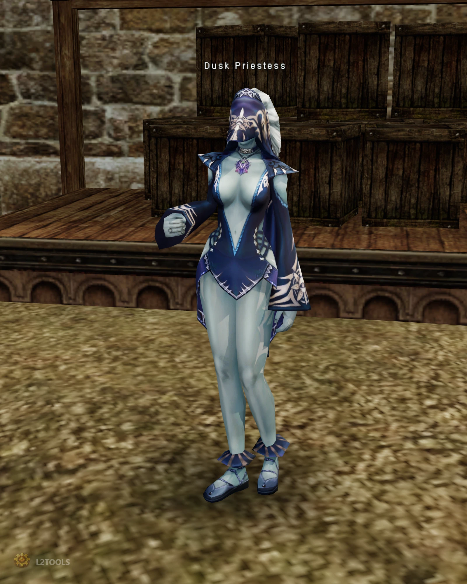 Dusk Priestess portrait
