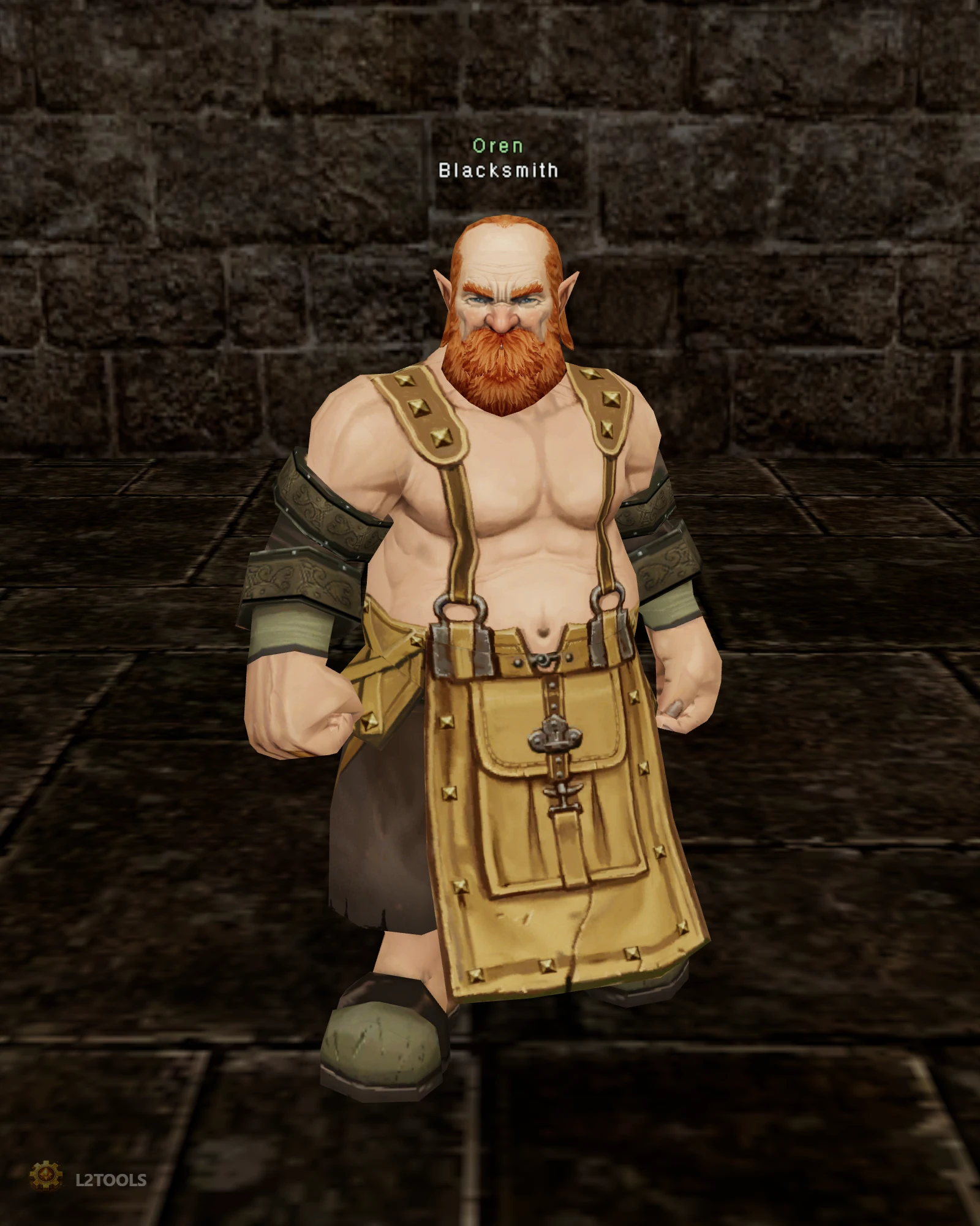 Blacksmith portrait