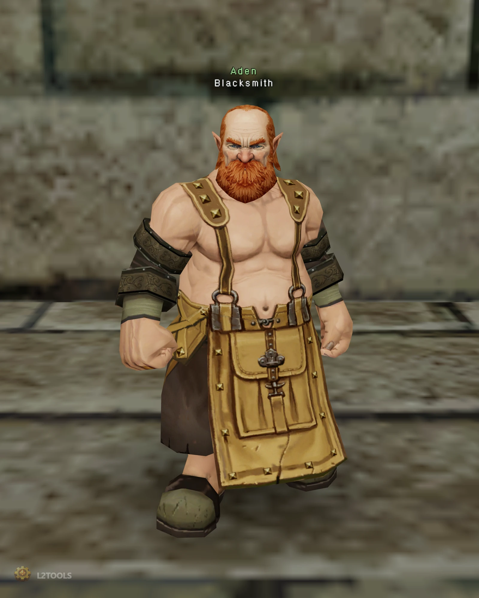Blacksmith portrait