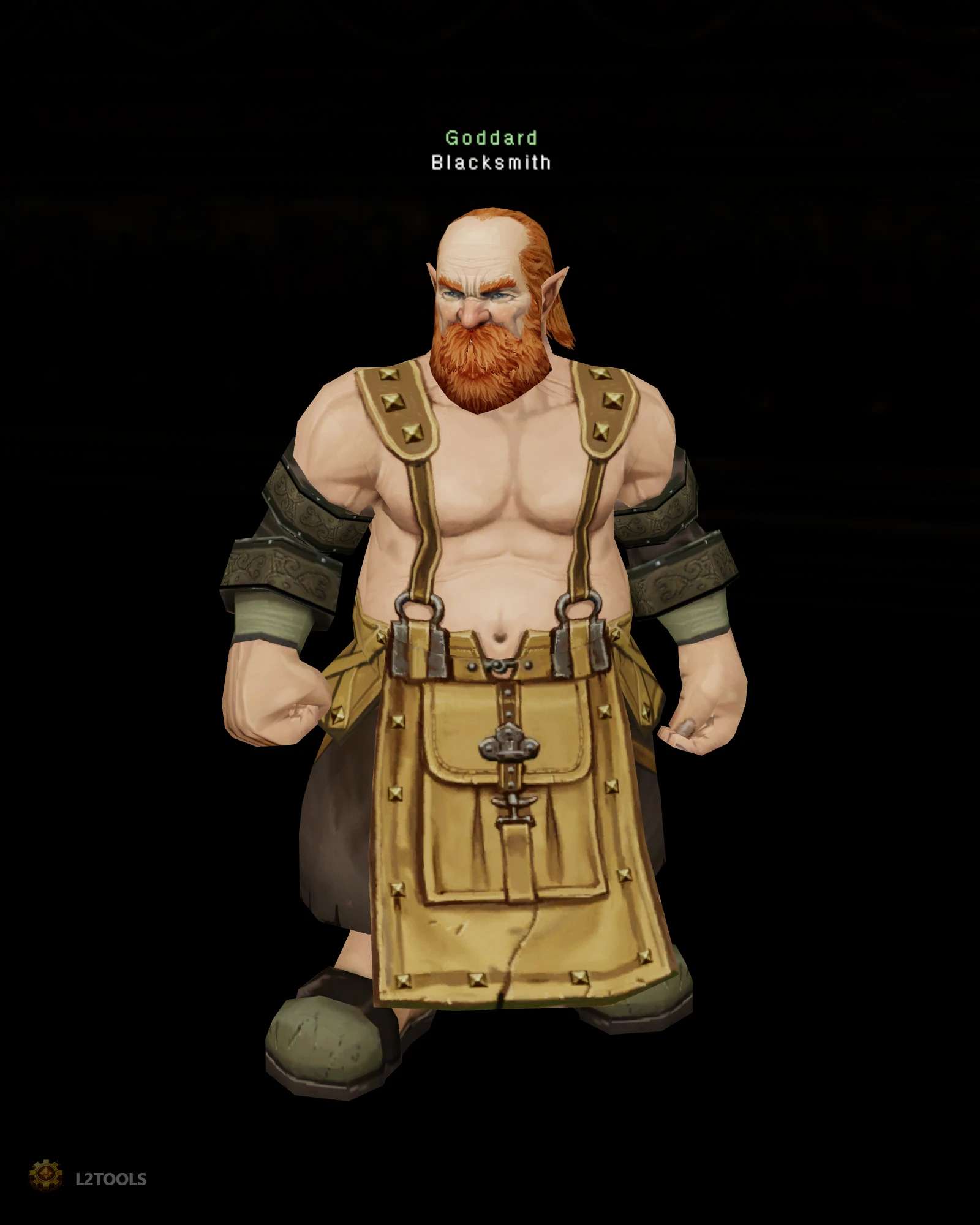Blacksmith portrait