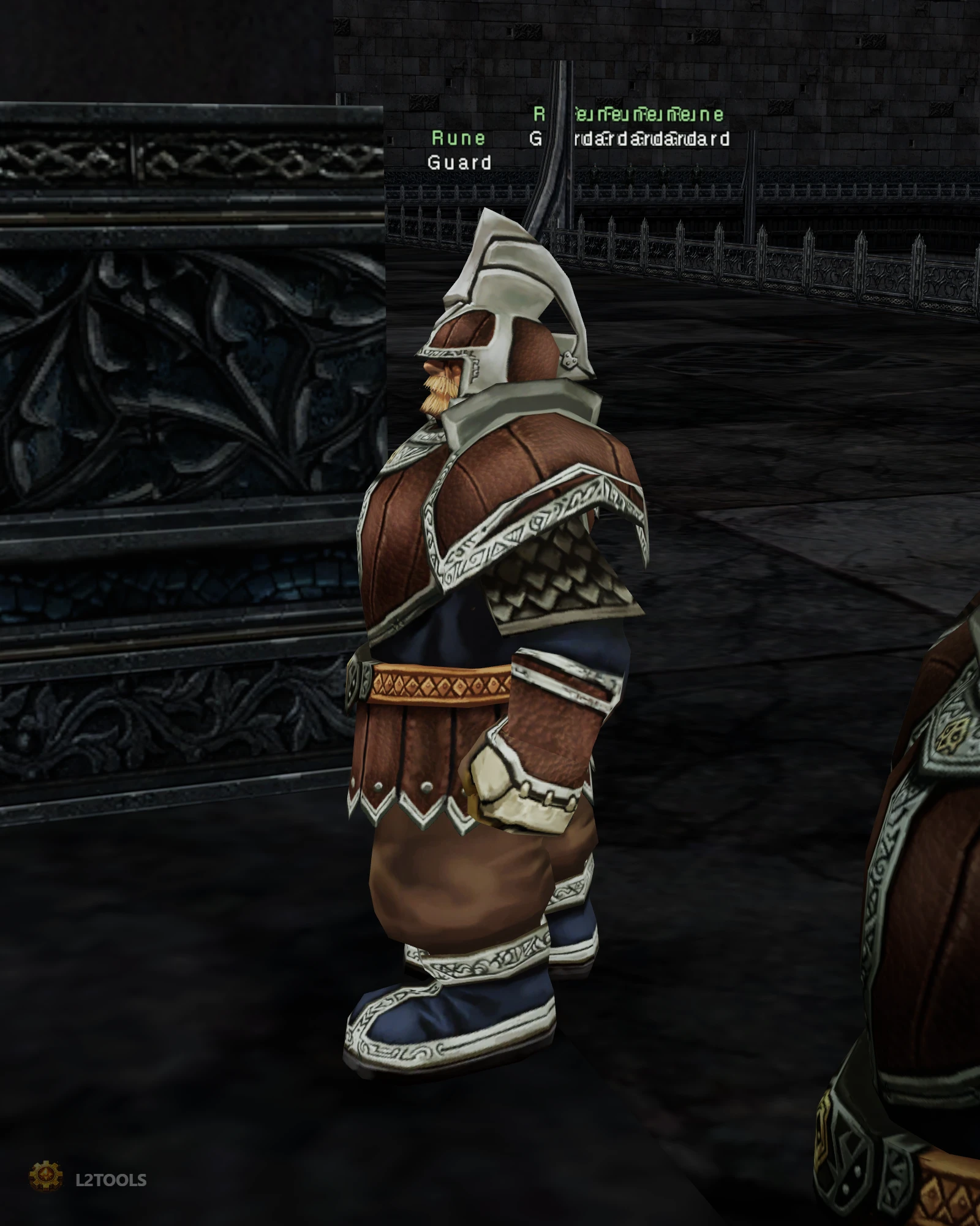 Guard portrait