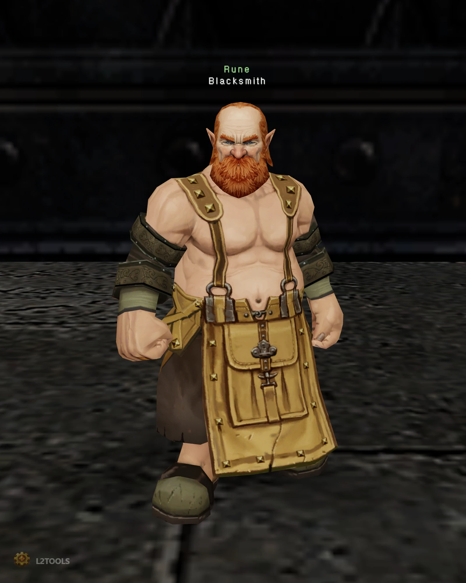 Blacksmith portrait