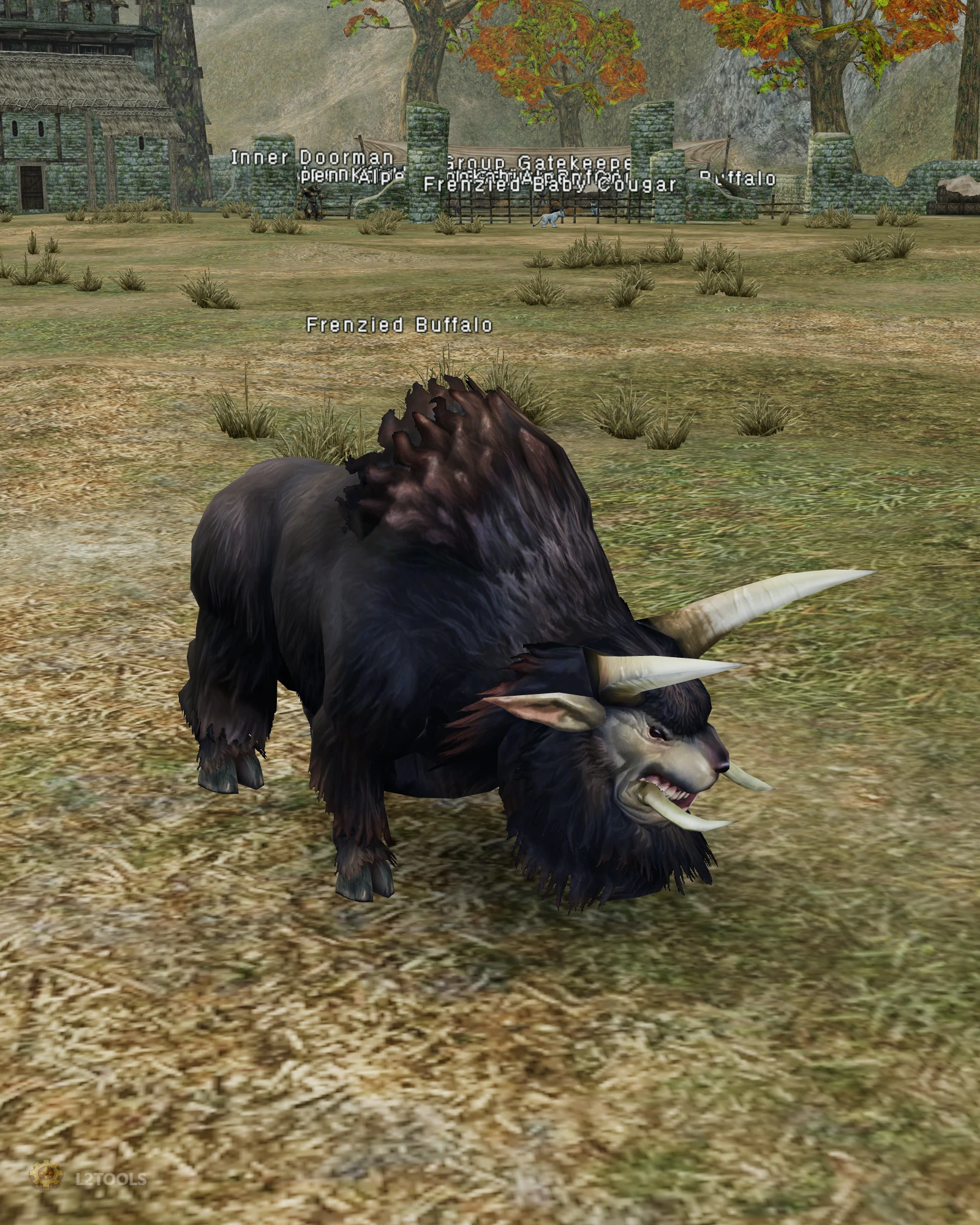 Frenzied Buffalo portrait