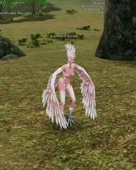Nightmare Guide
